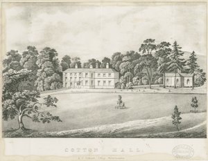 Bomull - Hall: litografi och [1800-talet] av Alfred Jolly Caldicott