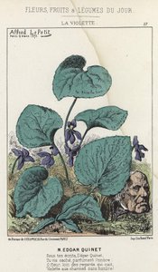 La Violette: Tecknad film om Edgar Quinet - ill. från 1871-03-09 i ”Dagens blommor, frukter och grönsaker” av Alfred Le Petit