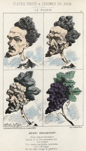 Le Raisin: Tecknad film om Henri Rochefort - ill. från 1871-02-09 i "Dagens blommor, frukter och grönsaker" av Alfred Le Petit