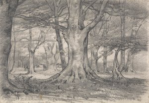 Ett skogslandskap nära Boldrewood av Alfred Parsons
