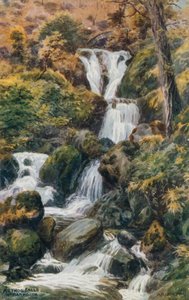 Arthog Falls, Nr. Barmouth av Alfred Robert Quinton