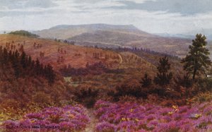 Blackdown från Hindhead av Alfred Robert Quinton