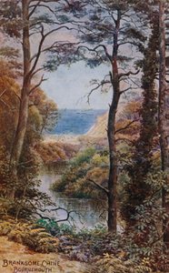 Branksome Chine, Bournemouth av Alfred Robert Quinton