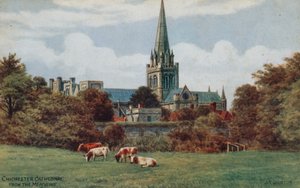 Chichester, katedralen, från ängarna av Alfred Robert Quinton