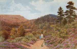 Hindhead av Alfred Robert Quinton
