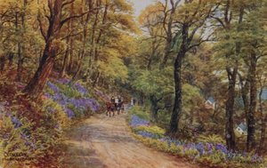 Hobby Drive, Clovelly (litho i färg) av Alfred Robert Quinton