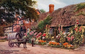 Stokrosor, Cropthorne, Evesham av Alfred Robert Quinton