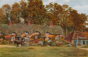Swan Green, Lyndhurst av Alfred Robert Quinton