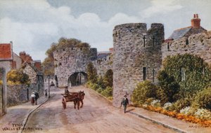 Tenby, väggar och fem valv av Alfred Robert Quinton