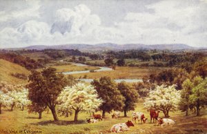 Vale of Evesham av Alfred Robert Quinton