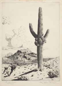 The Sentinel (Sahuaro) (etsning och akvatint) av Alfred Rudolph Waud