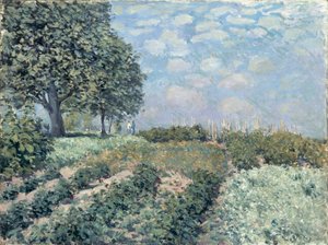 Saluträdgårdarna av Alfred Sisley