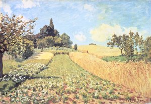 Wheat Field (olja på duk) av Alfred Sisley