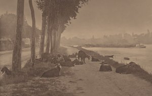 En dekorativ panel av Alfred Stieglitz