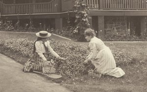 En blomsterrabatt vid Oaklawn av Alfred Stieglitz