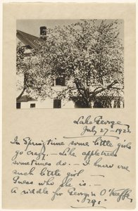 [Apple Blossoms] av Alfred Stieglitz