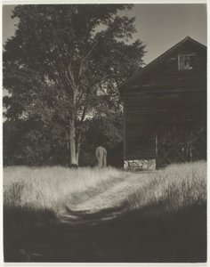 Ladugård, Lake George av Alfred Stieglitz
