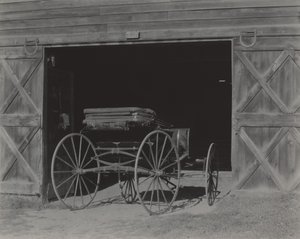 Lada och vagn av Alfred Stieglitz
