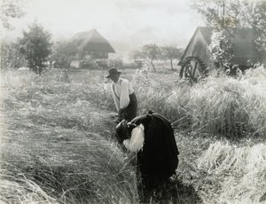 Tidigt på morgonen av Alfred Stieglitz