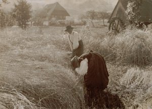 Tidigt på morgonen av Alfred Stieglitz