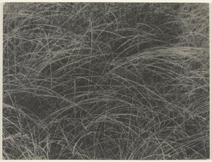 Likvärdig av Alfred Stieglitz