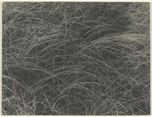 Motsvarande, 1927. av Alfred Stieglitz