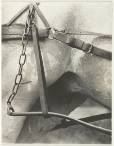 Motsvarande, Spiritual America av Alfred Stieglitz