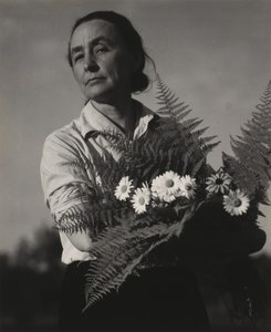 Georgia O’Keeffe av Alfred Stieglitz
