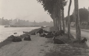 Getter utanför Paris av Alfred Stieglitz
