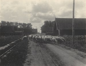 På väg till betet av Alfred Stieglitz