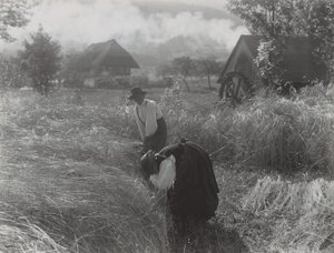 Skörd, Schwarzwald av Alfred Stieglitz