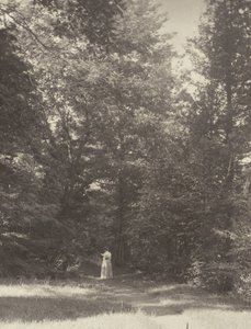 ”Hedwigsweg” II, Lake George av Alfred Stieglitz