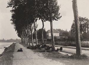 Hemåt av Alfred Stieglitz