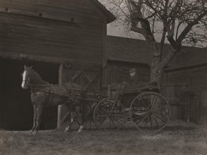 Häst och vagn av Alfred Stieglitz