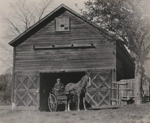 Häst och vagn av Alfred Stieglitz