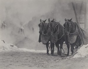 Hästar, New York av Alfred Stieglitz