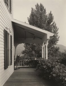 Hus, löv och träd av Alfred Stieglitz