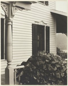 Hus och druvblad av Alfred Stieglitz