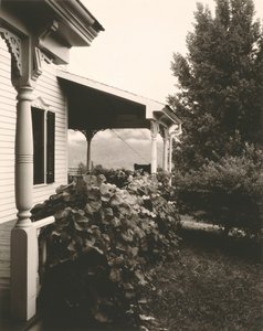Hus och druvblad av Alfred Stieglitz