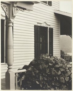 Hus och druvblad, 1934. av Alfred Stieglitz