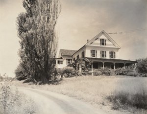Hus och popplar, Lake George av Alfred Stieglitz