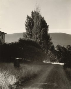 Hus och popplar, Lake George av Alfred Stieglitz