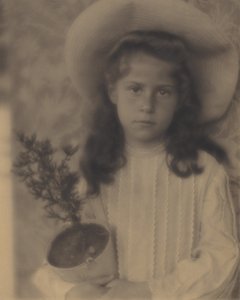 Kitty – Blomkruka av Alfred Stieglitz