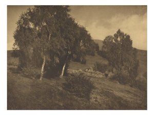 [Landskap, Tyrolen] av Alfred Stieglitz