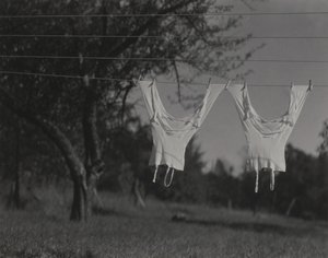 Långa underkläder, Lake George av Alfred Stieglitz