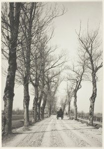 novemberdagar av Alfred Stieglitz