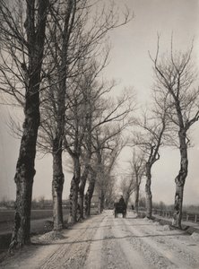 Novemberdagar av Alfred Stieglitz