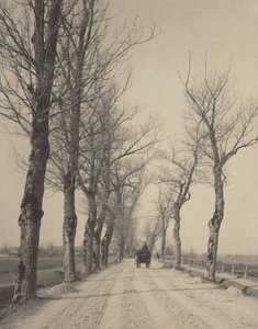 Novemberdagar av Alfred Stieglitz