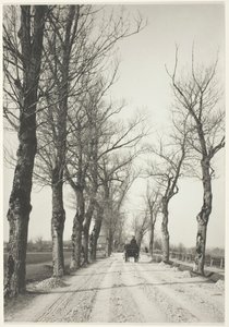 Novemberdagar, 1887, tryckt 192039. av Alfred Stieglitz