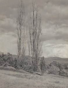 Poppelträd - Lake George av Alfred Stieglitz